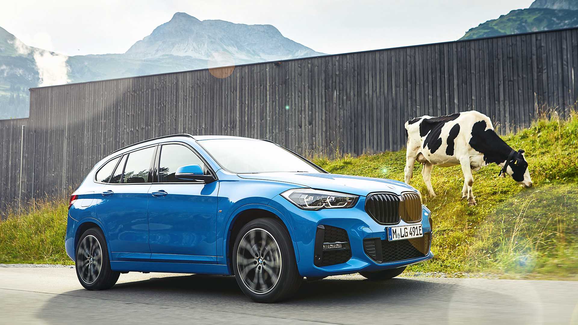 Blue BMW X1 xDrive 25e driving near fields with cow backdrop